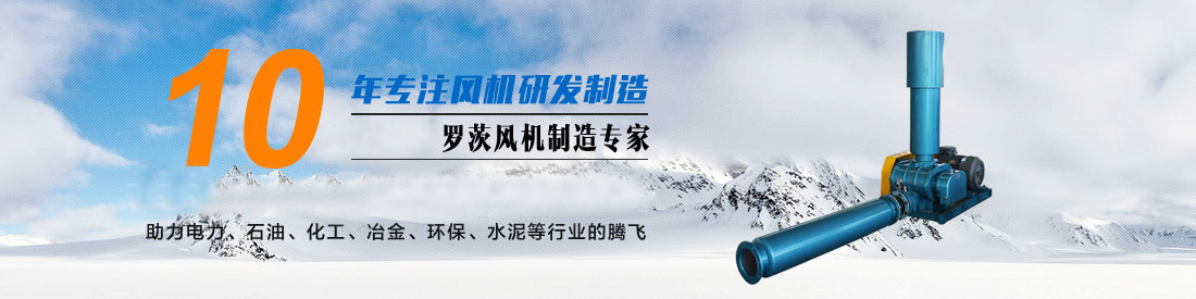 羅茨鼓風(fēng)機廠(chǎng)家